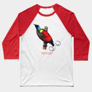 Wilson's Bird-of-Paradise | Cicinnurus respublica Baseball T-Shirt